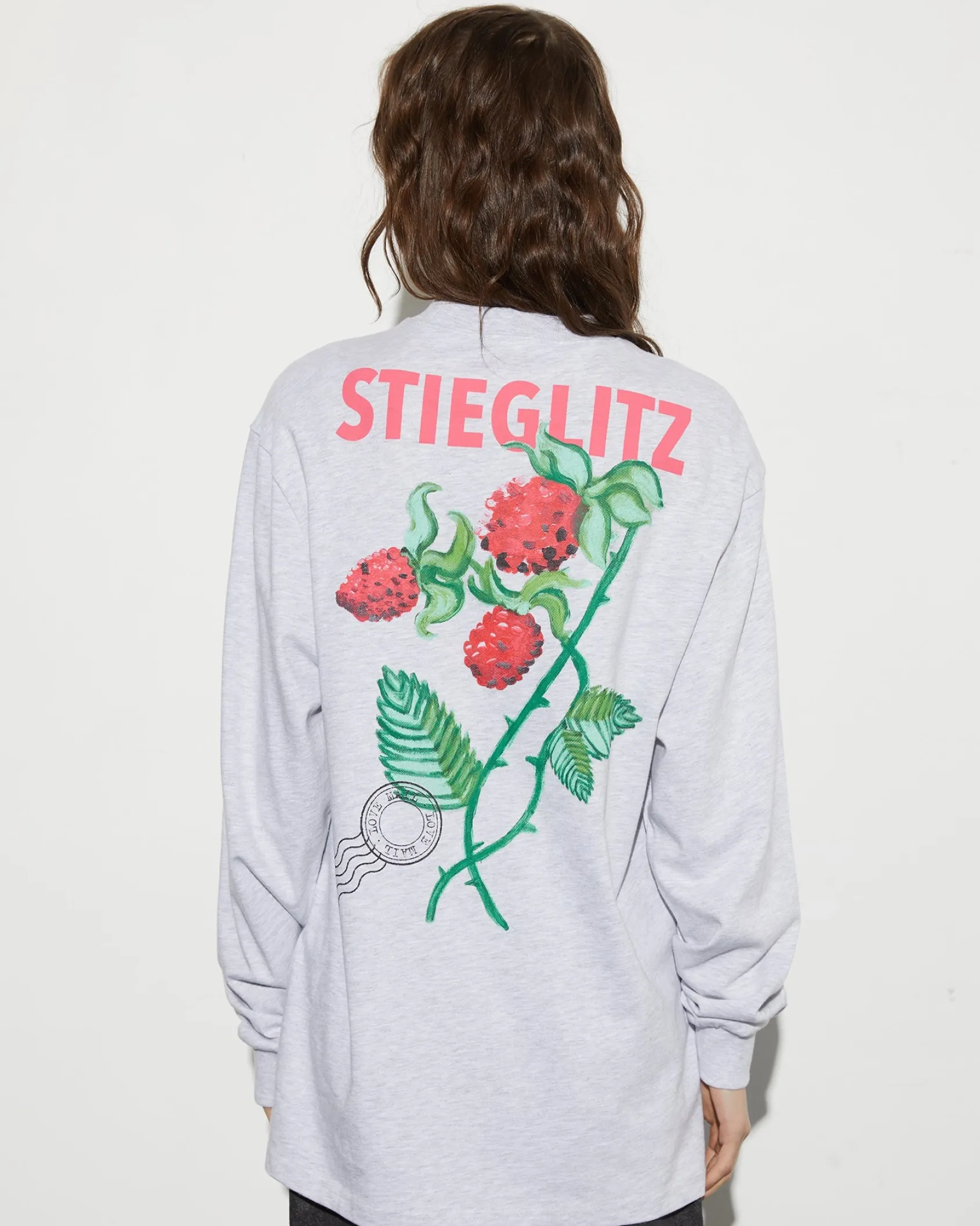 Flash Sale STIEGLITZ Tereza Skate Longsleeve | Melange Grey